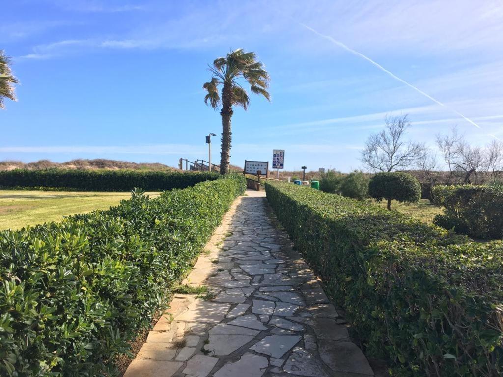 Apartamento A 100 Metros De La Playa Con Grande Terraza Y Vistas Al Mar Daimus Exterior foto