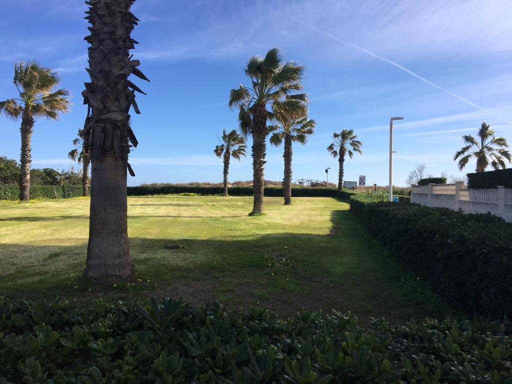 Apartamento A 100 Metros De La Playa Con Grande Terraza Y Vistas Al Mar Daimus Exterior foto
